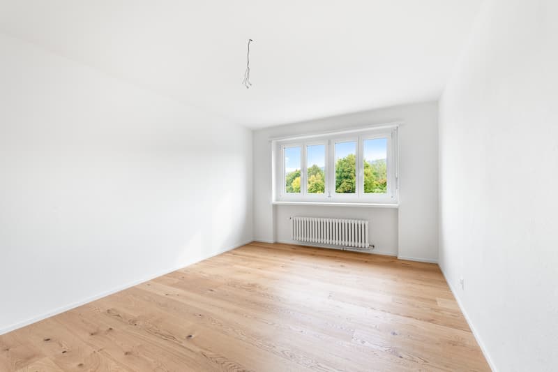 Ideale Singlewohnung - frisch saniert! (5)