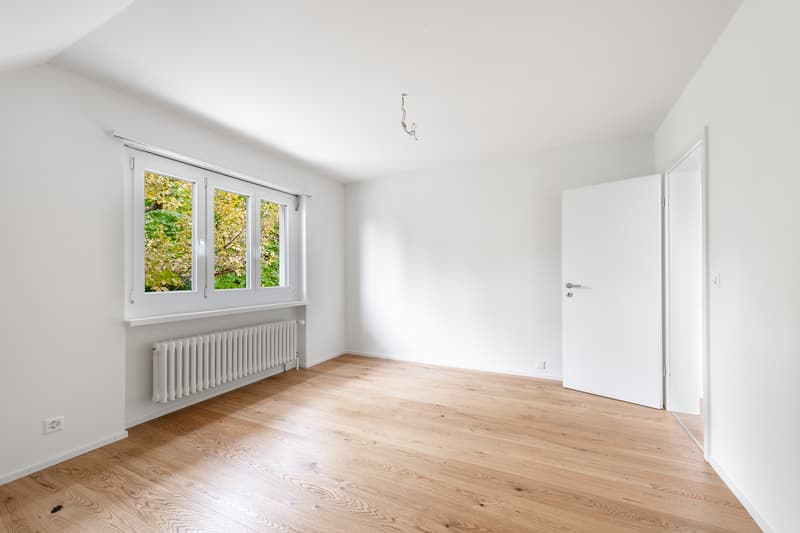 Ideale Singlewohnung - frisch saniert! (8)