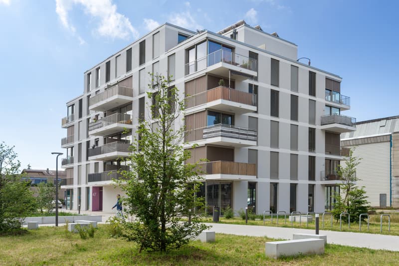 Votre logement à Ecublens ! (3)