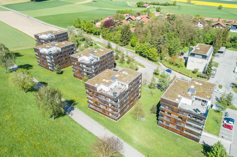 Wohnen mit Aussicht ins Grüne (1)