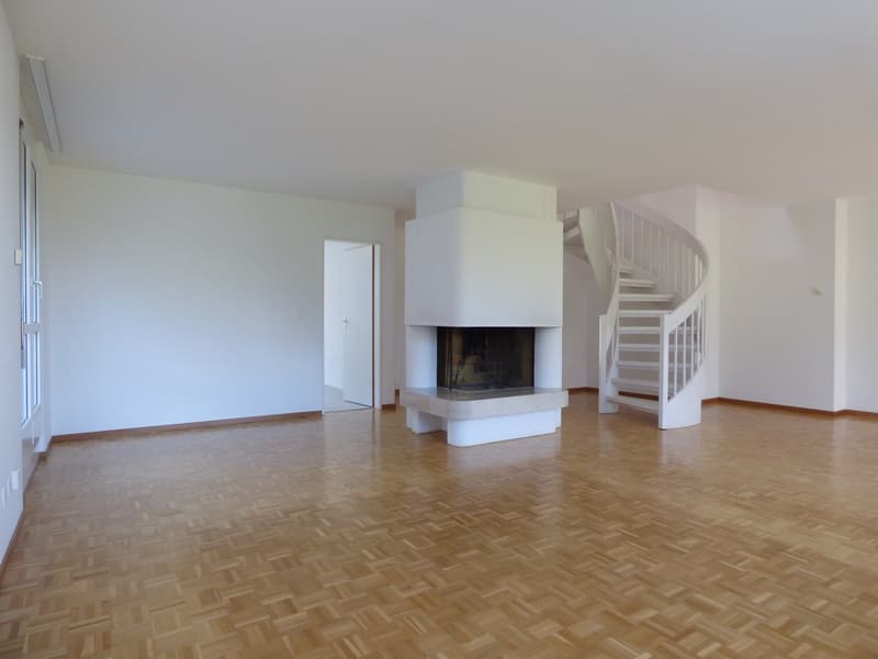 Dach-Maisonettewohnung an ruhiger Lage (3)