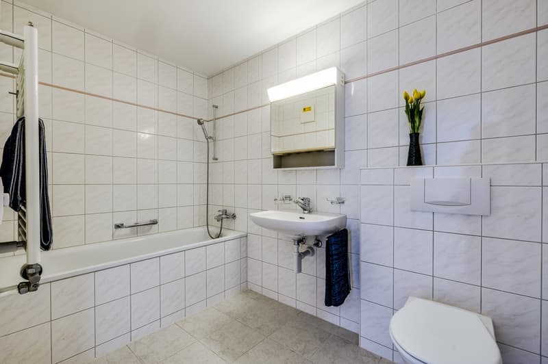Singlewohnung in ruhiger Umgebung (7)
