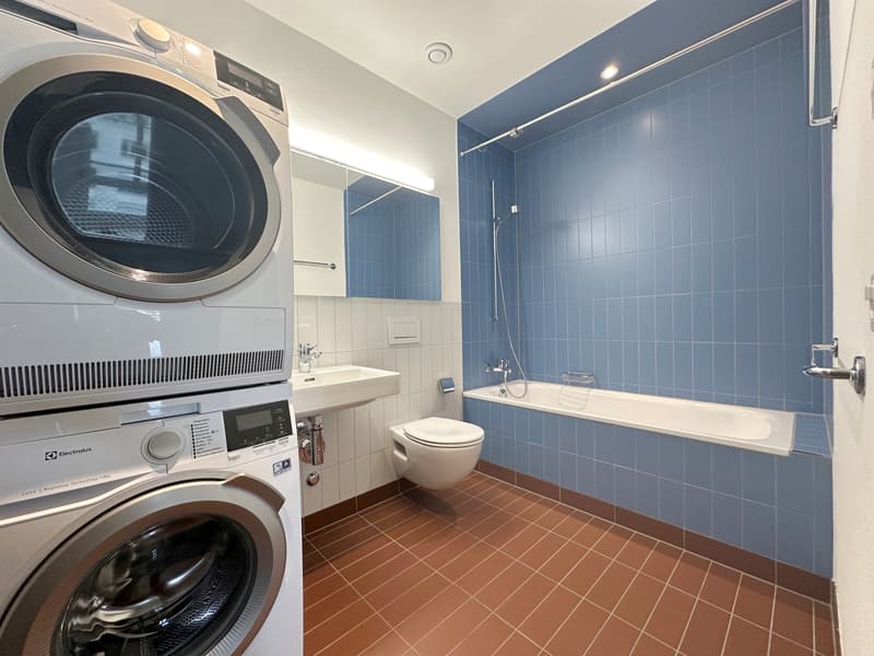 Moderne Wohnung am Stadtrand von Zürich (6)