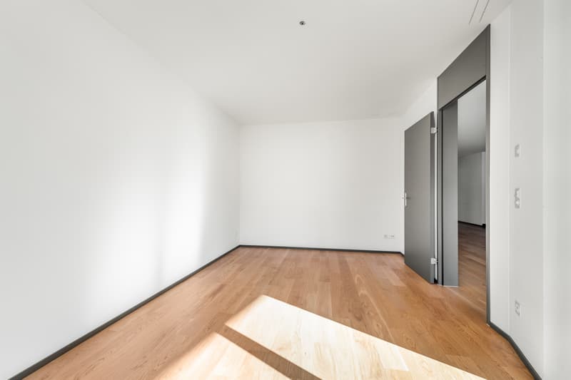 Moderne Wohnung am Stadtrand von Zürich (4)