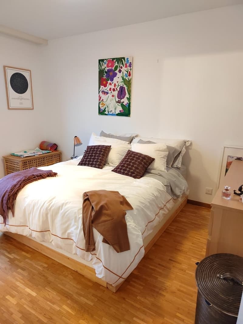 Magnifique appartement à deux pas de l'Arve ! (4)
