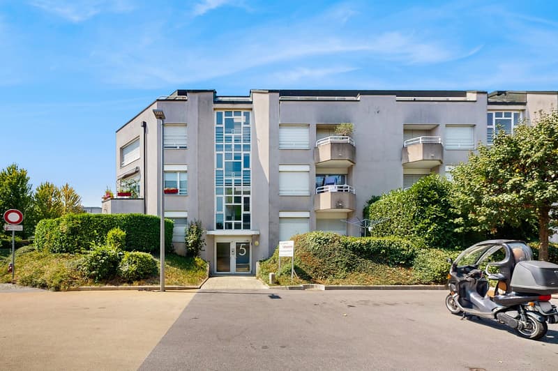 Le calme au sein d'un quartier verdoyant à Versoix (2)