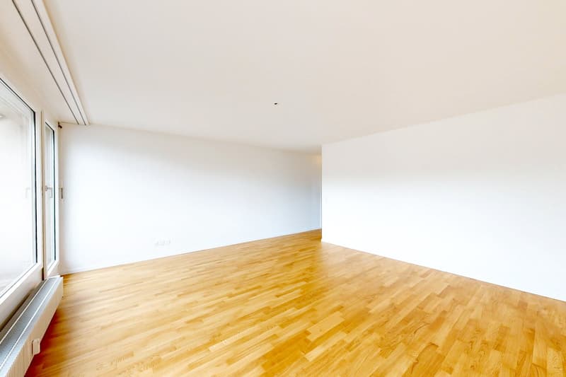 Dachwohnung mit grosser Terrasse und grossartiger Aussicht! (2)
