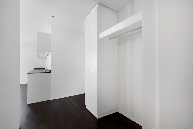 Grosszügige und moderne Wohnung in begrünter Umgebung! (9)