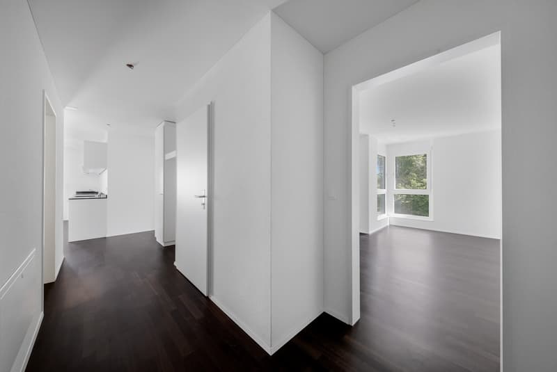 Grosszügige und moderne Wohnung in begrünter Umgebung! (10)