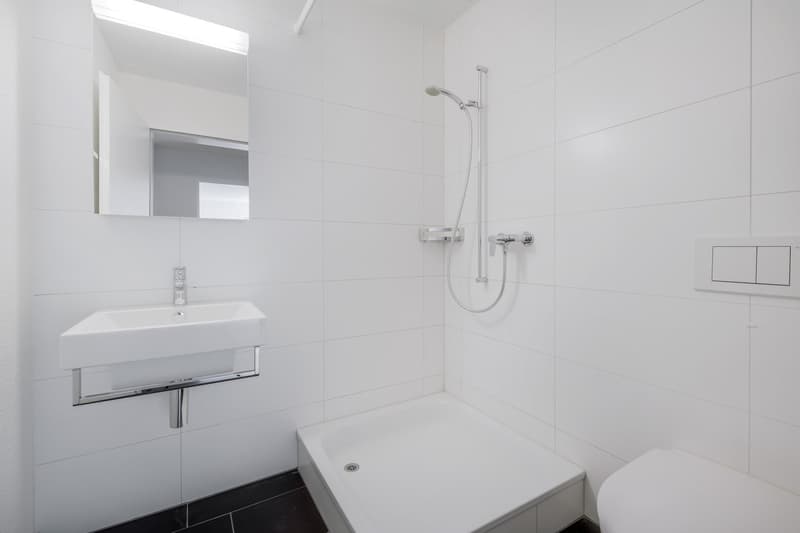 Grosszügige und moderne Wohnung in begrünter Umgebung! (11)