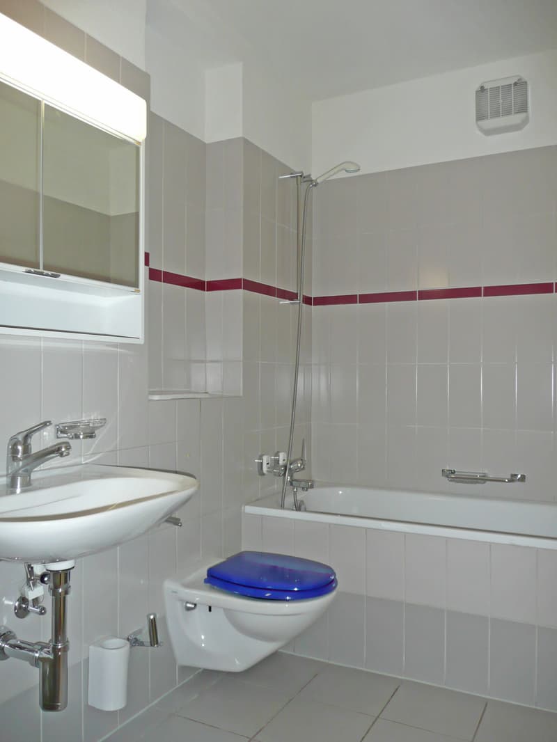 Singlewohnung an top Lage in Zürich! (6)