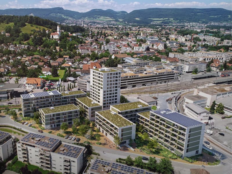 Traumwohnung im Henz-Areal! (1)