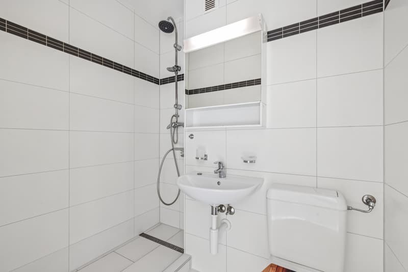 Charmantes 1-Zimmer-Juwel in ruhiger Lage (7)