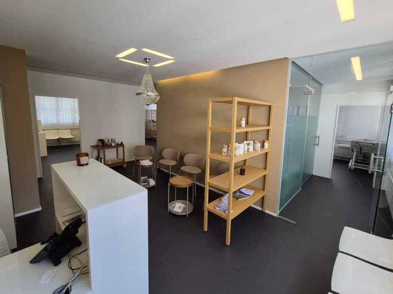 Gewerbefläche im Herzen von Horgen (4)