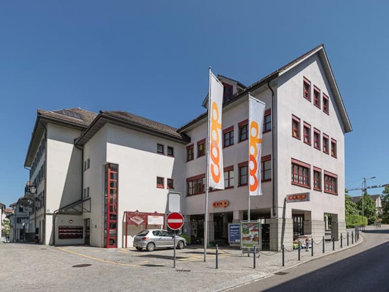 Gewerbefläche im Herzen von Horgen (2)