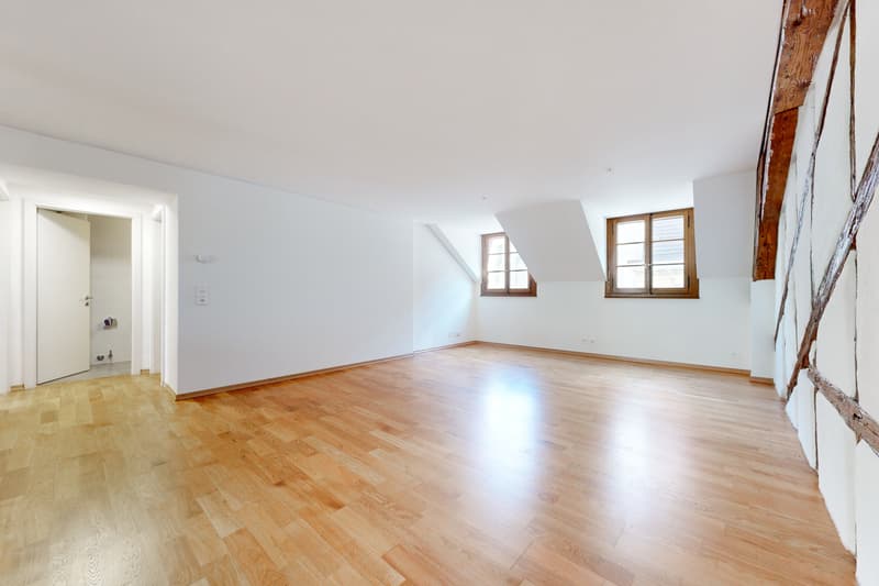Logement au centre de Lausanne ! (3)