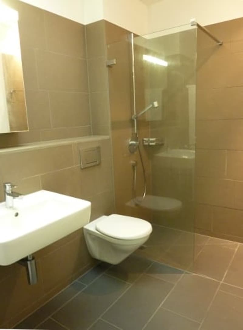 Schöne Wohnung im Quartier Limmatfeld (4)