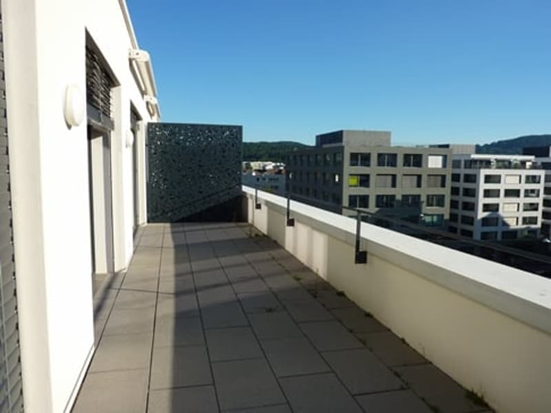 Schöne Wohnung im Quartier Limmatfeld (5)