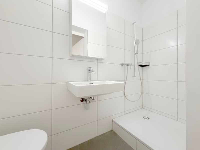 Zentral und komfortabel 4.5-Zimmer-Wohnung nahe Bahnhof Wiedikon (8)