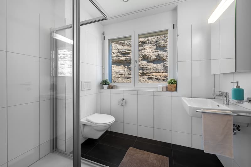 Geniale Attikawohnung: Träume - Traumwohnung - Traumaussicht (8)