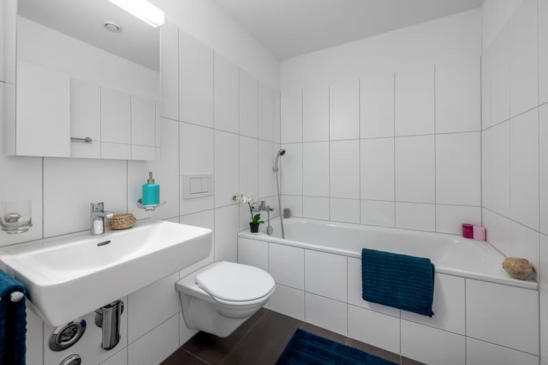 Geniale Attikawohnung: Träume - Traumwohnung - Traumaussicht (7)