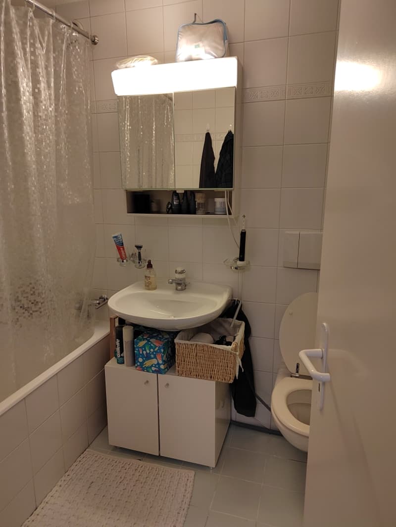 Magnifique appartement à deux pas de l'Arve ! (8)