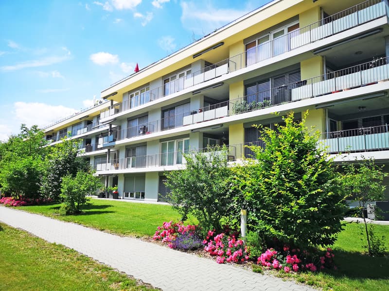 Moderne Wohnung mit Abendsonne (1)