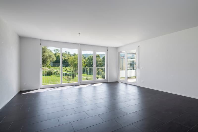 Moderne Wohnung mit Abendsonne (3)