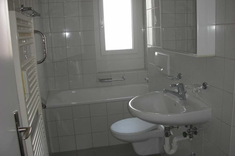Ruhige Wohnlage Nähe Schwamendingerplatz (4)