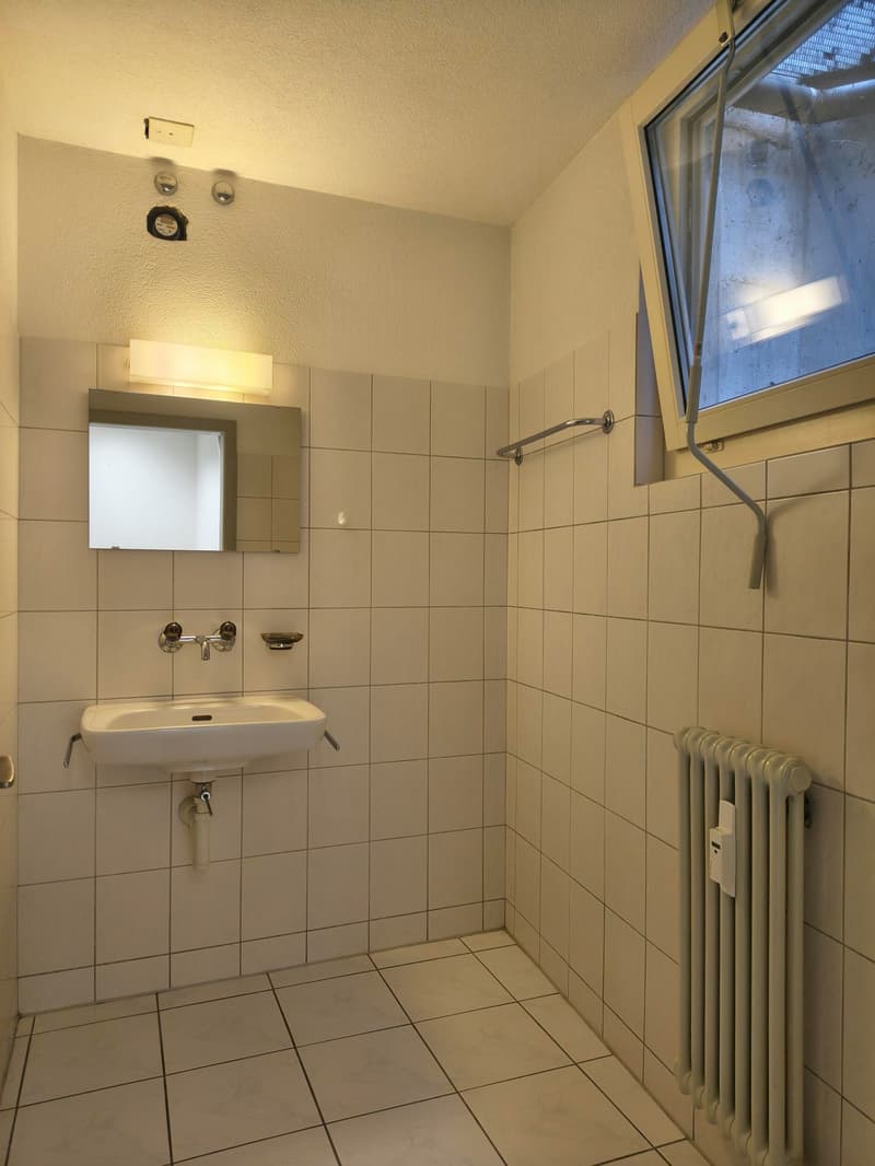 Atelier im Hönggermarkt, 8049 Zürich (3)