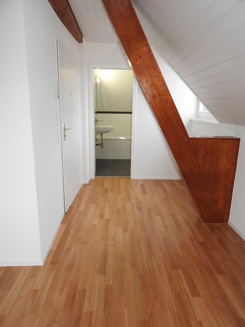 Charmante Singlewohnung im Dachgeschoss (6)