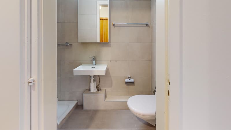 Charmant appartement de 1,5 pièce au cur de Fribourg (5)