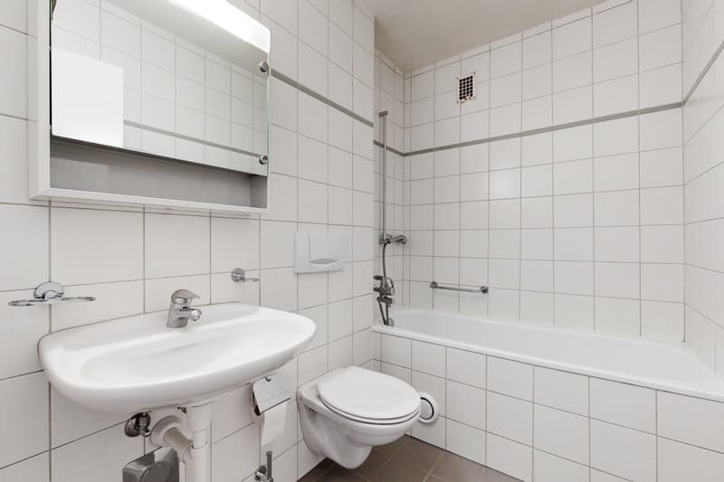 Votre logement dans un quartier paisible (7)