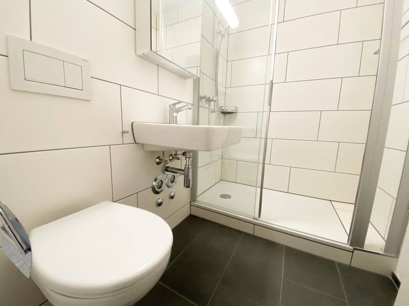 Gemütliche Singlewohnung an zentraler Lage (5)