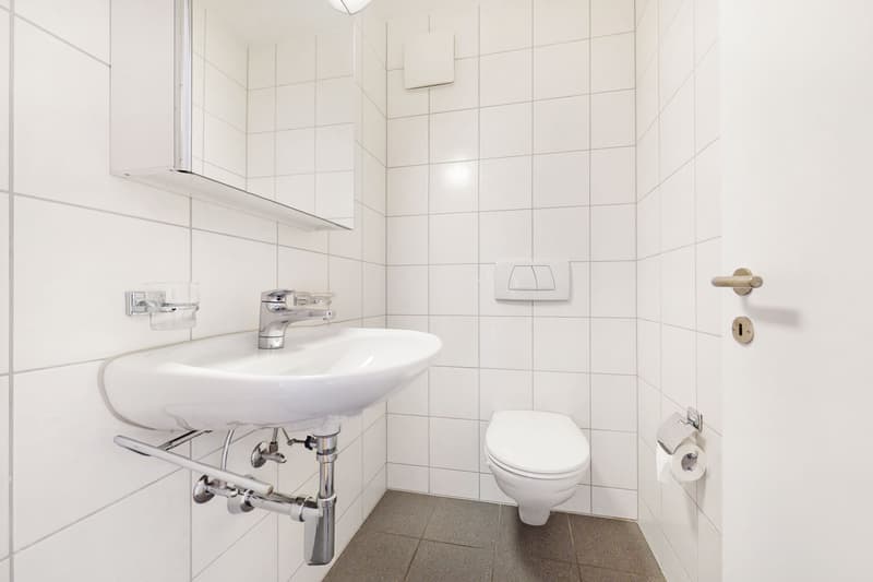 Wohnen im Szene-Quartier "Züri-West" (9)