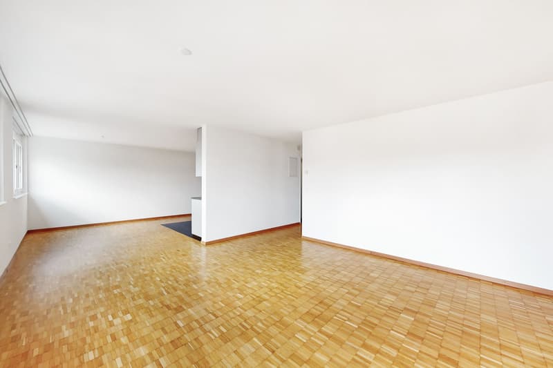 Wohnen im Szene-Quartier "Züri-West" (3)