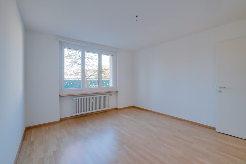 Charmante Wohnung Nähe Lindenplatz (6)