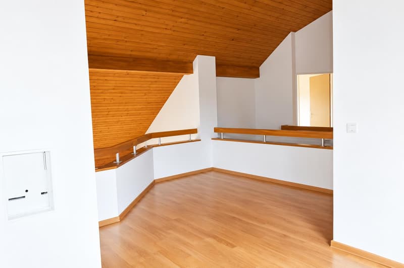 Grosszügige Maisonettewohnung - 2 Balkone und Cheminée (3)