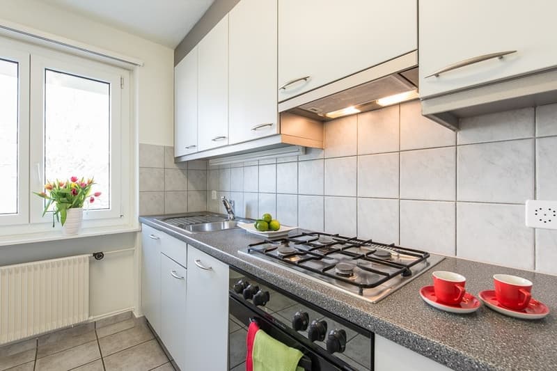Ruhiges und familienfreundliches Wohnquartier (3)