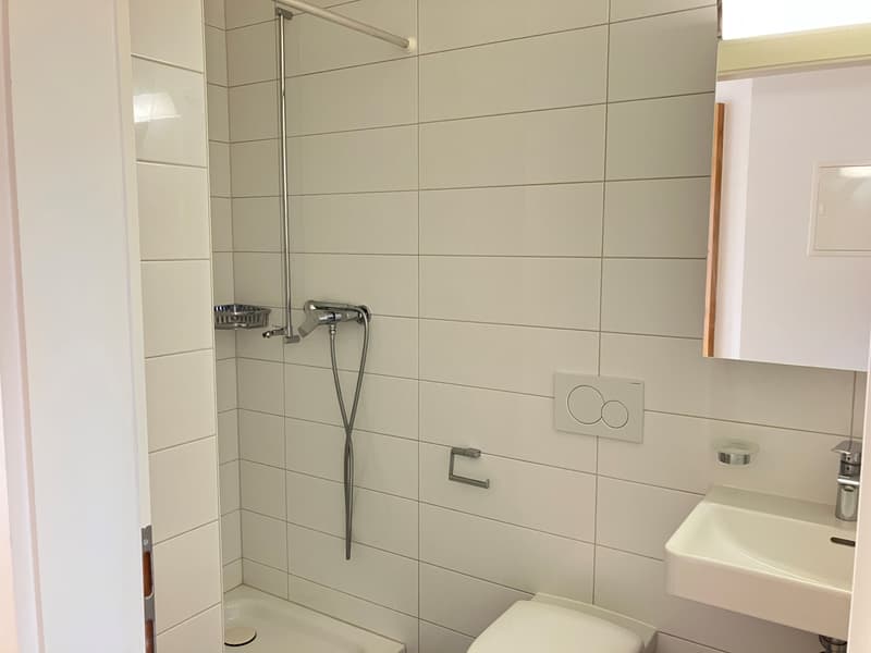 Votre logement à Epalinges ! (7)