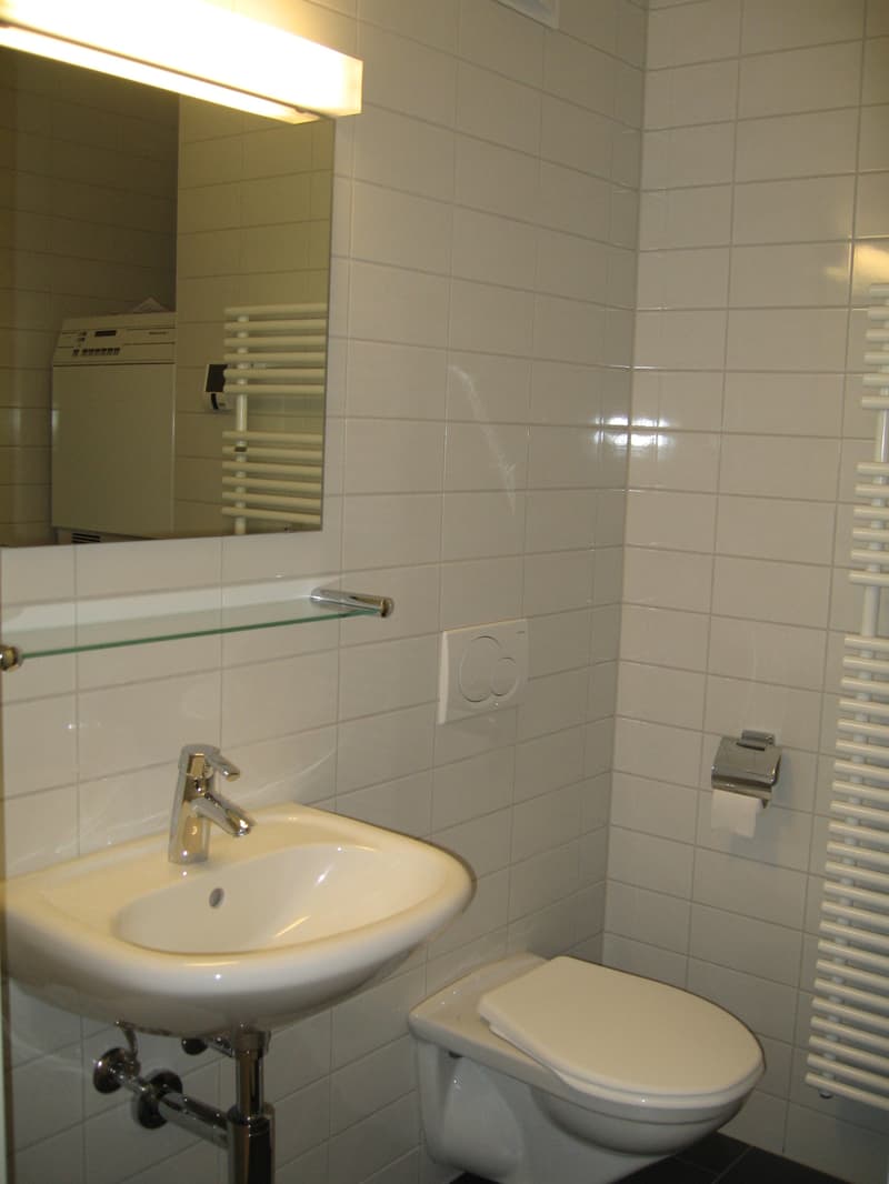 Ihr neues Zuhause im Rosenbüchel (4)