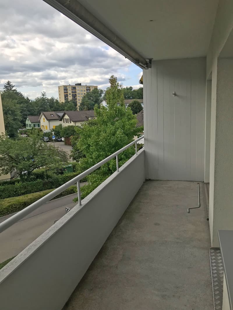 Schöne und gepflegte Liegenschaft (7)