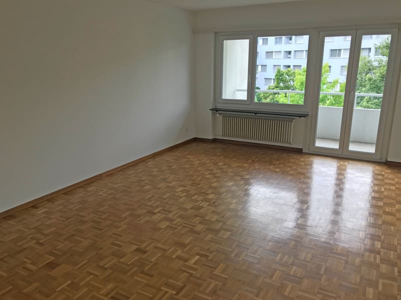 Schöne und gepflegte Liegenschaft (2)