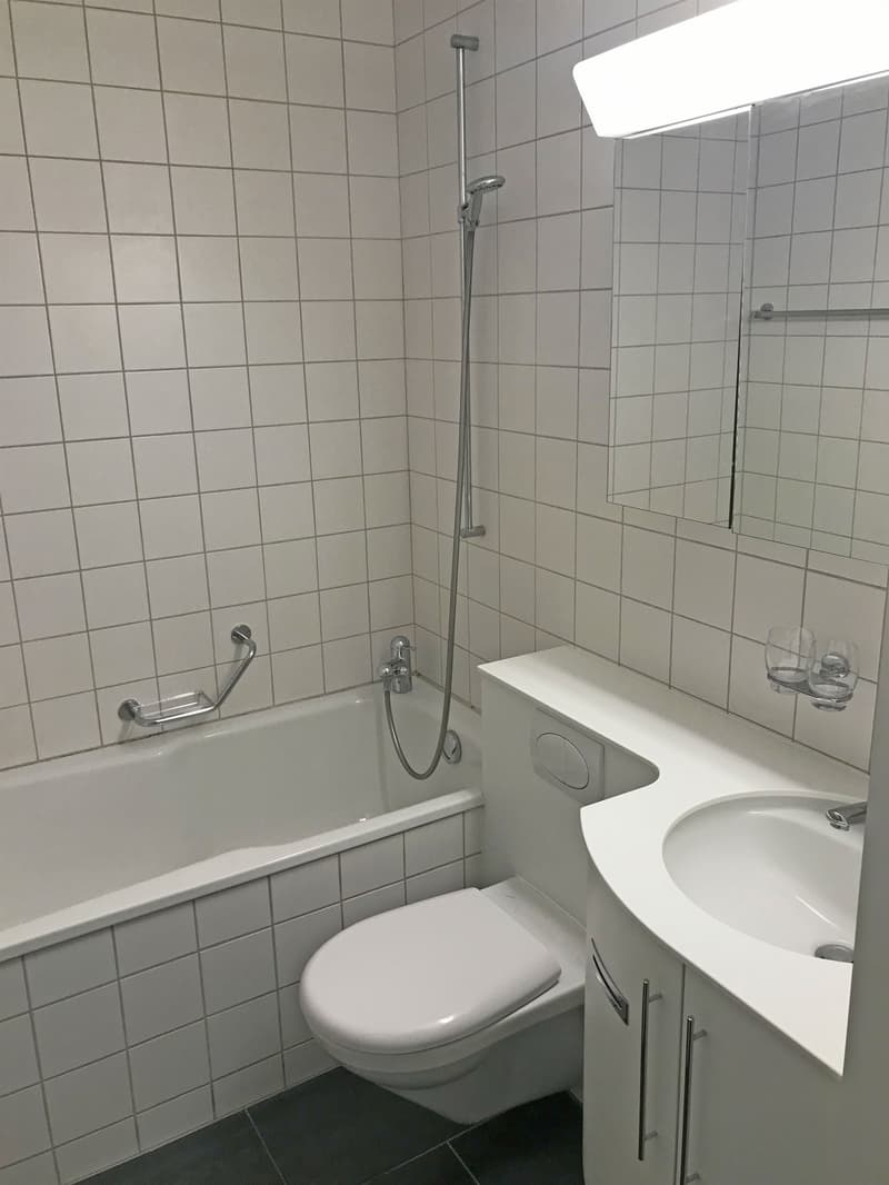 Schöne und gepflegte Liegenschaft (6)