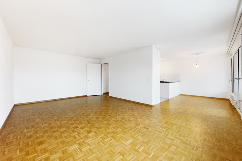 Grosszügige Wohnung nähe Limmat (3)