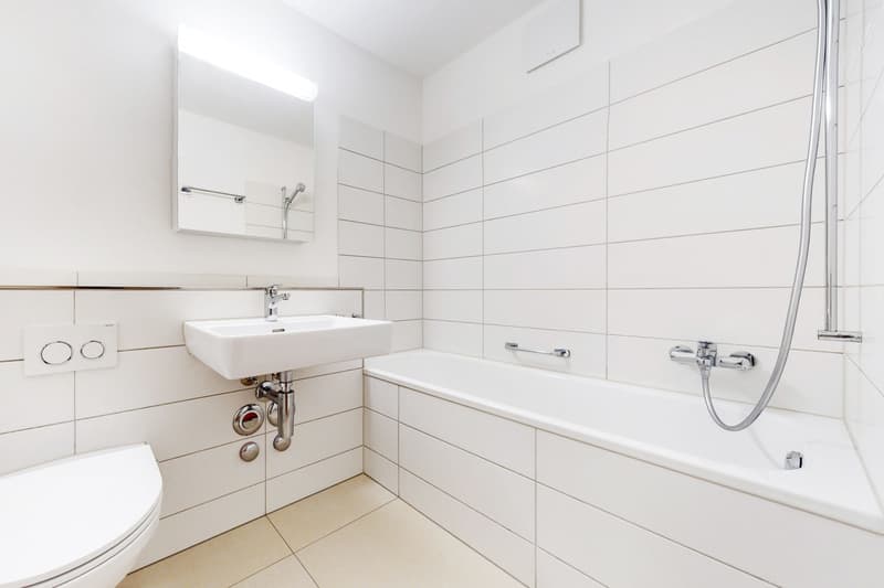 Grosszügige Wohnung nähe Limmat (5)