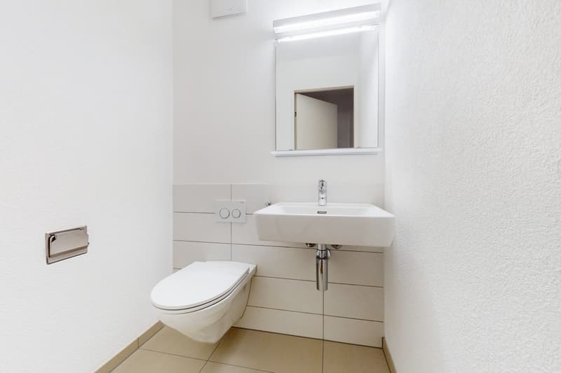 Grosszügige Wohnung nähe Limmat (6)