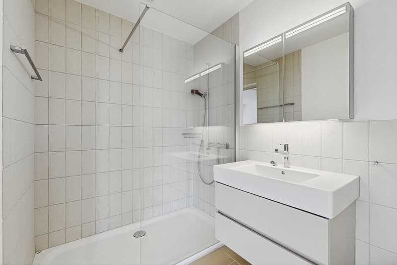 Moderne Singlewohnung in Zürich mit grosszügiger Dachterrasse! (9)