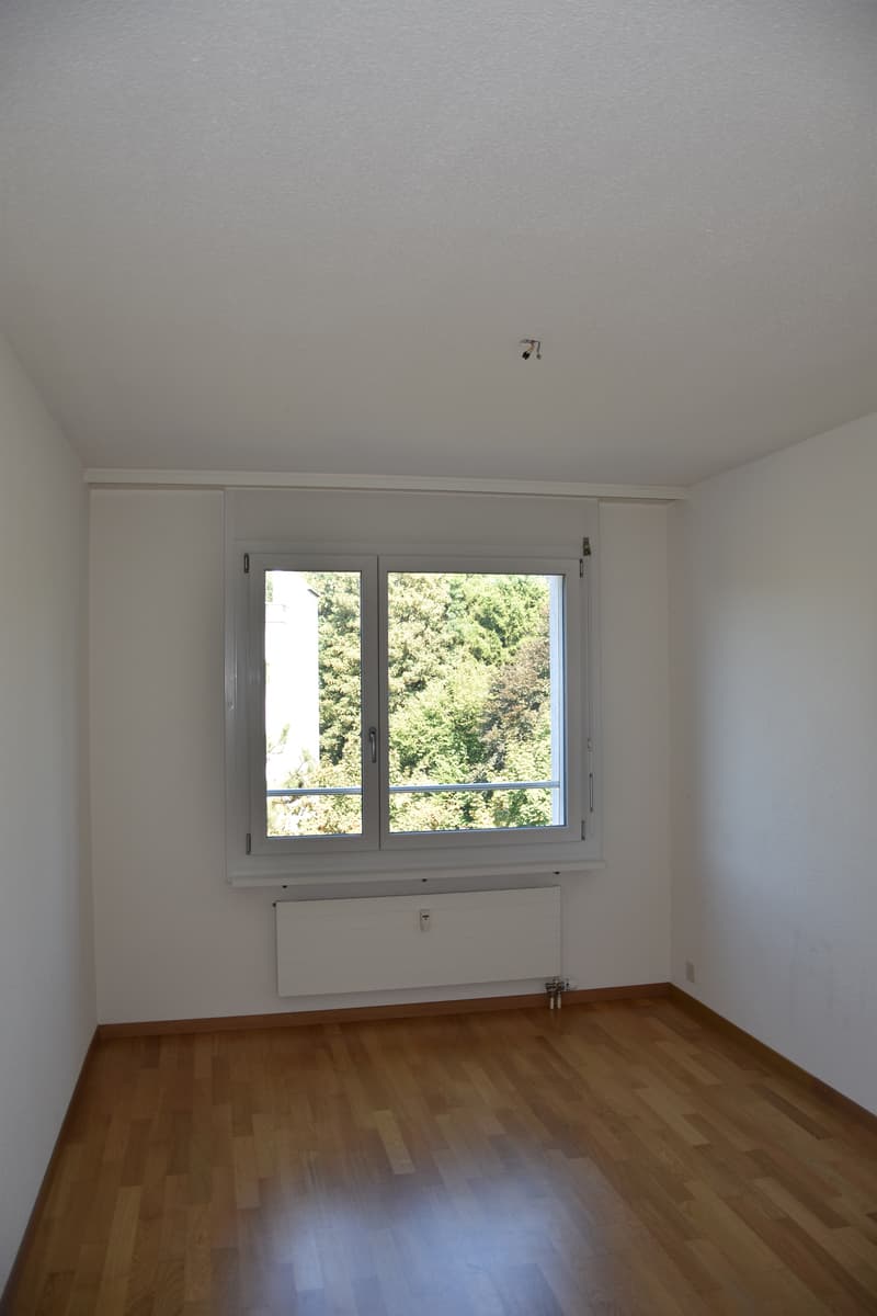 Grosszügige Wohnung mit Cheminée (3)