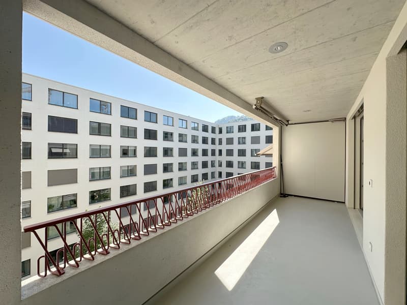 In der City zuhause, im Grünen daheim (6)